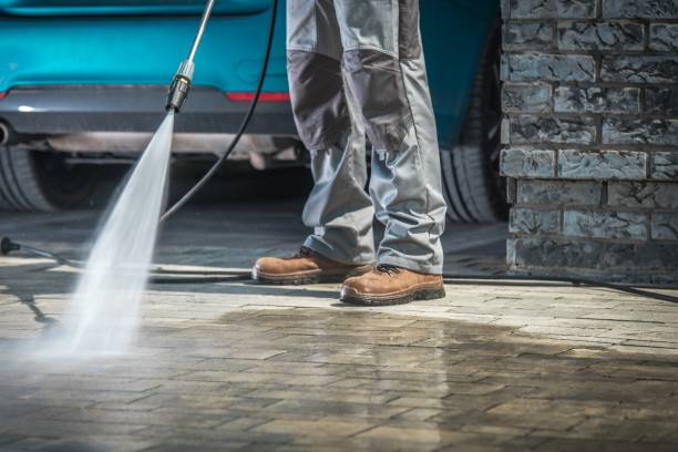 Best House Exterior Washing  in Fayette, LA